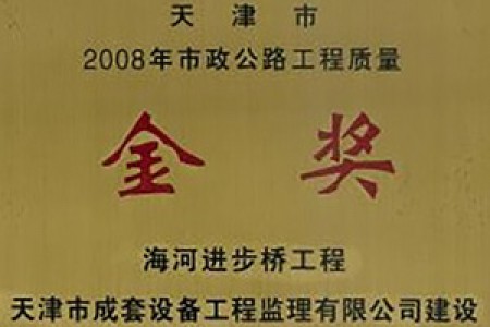 市政公路工程质量金奖（2008年）